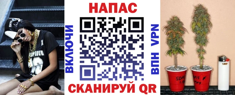 kraken сайт  Чехов  Шишки марихуана семена 